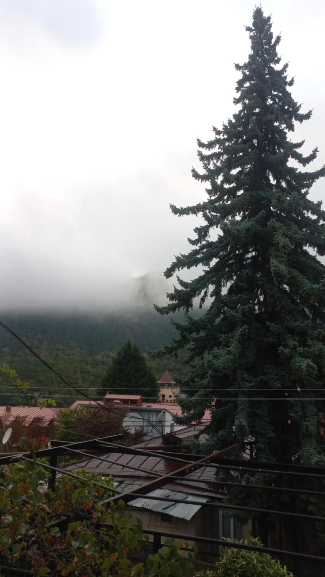 House Lia Hotel Borjomi Exterior photo